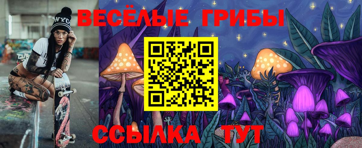 Псилоцибиновые грибы Psilocybine cubensis  Вход с VPN  Галлюциногенные грибы Psilocybine cubensis  Сургут 